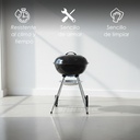 Asador Blaze de Carbón Portátil