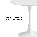 8.webp