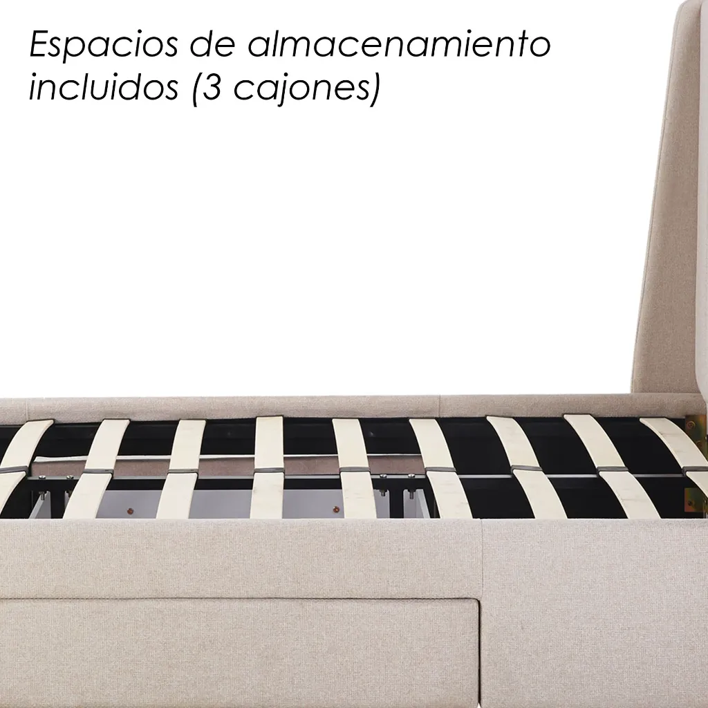 7.webp