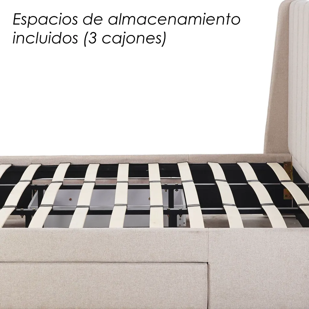 7.webp