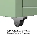 7.webp