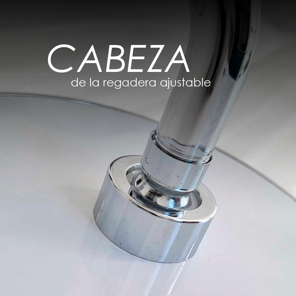 Regadera CS01