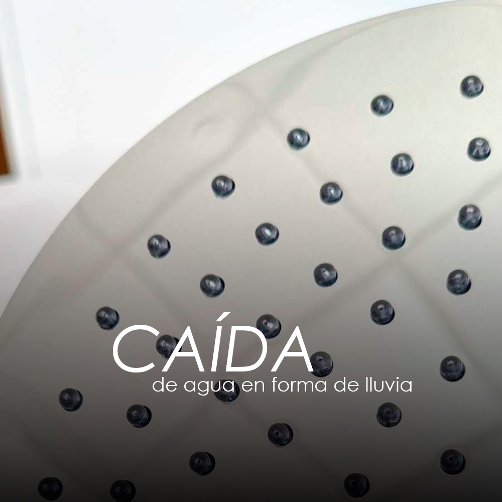 Regadera CS01