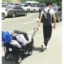 Carrito multifuncional plegable Negro