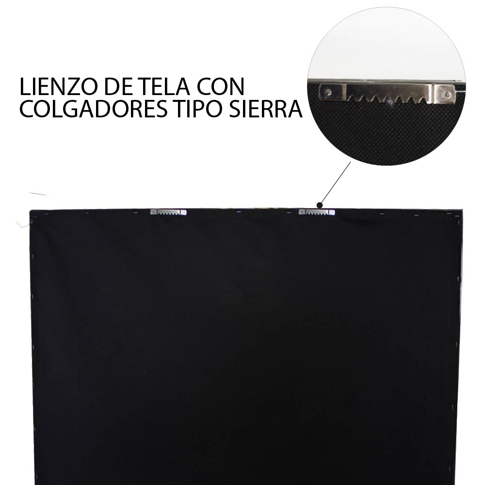 Cuadro decorativo 80x120 CDT-frida2