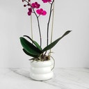 Maceta Circular T11-Bla Color Blanco