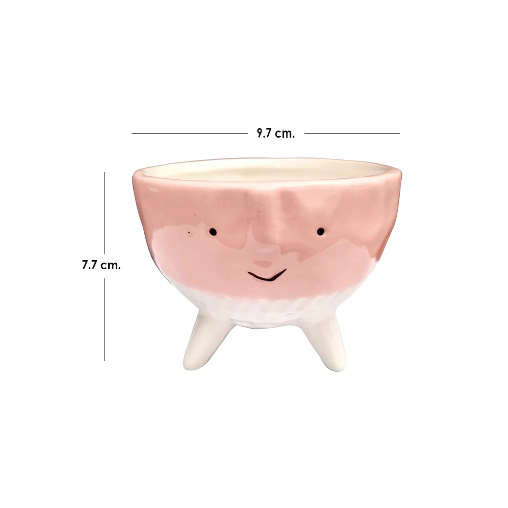 Maceta de Cara Animada Rosa