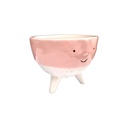 Maceta de Cara Animada Rosa