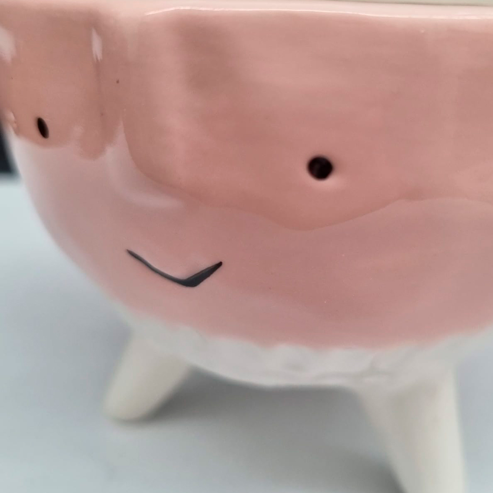 Maceta de Cara Animada Rosa