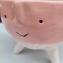 Maceta de Cara Animada Rosa