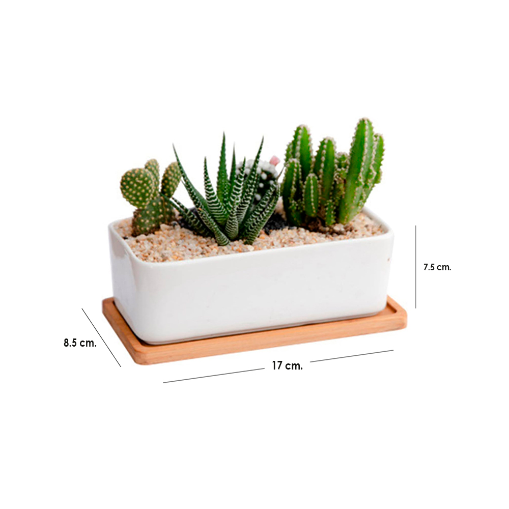 Maceta de Cerámica Ilios Innova Rectangular Blanco
