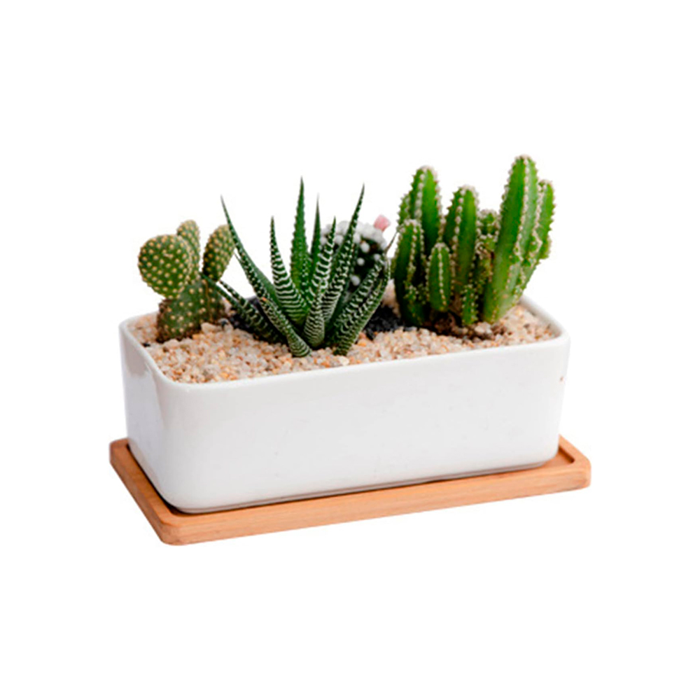 Maceta de Cerámica Ilios Innova Rectangular Blanco