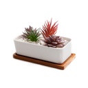 Maceta de Cerámica Ilios Innova Rectangular Blanco