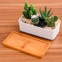 Maceta de Cerámica Ilios Innova Rectangular Blanco