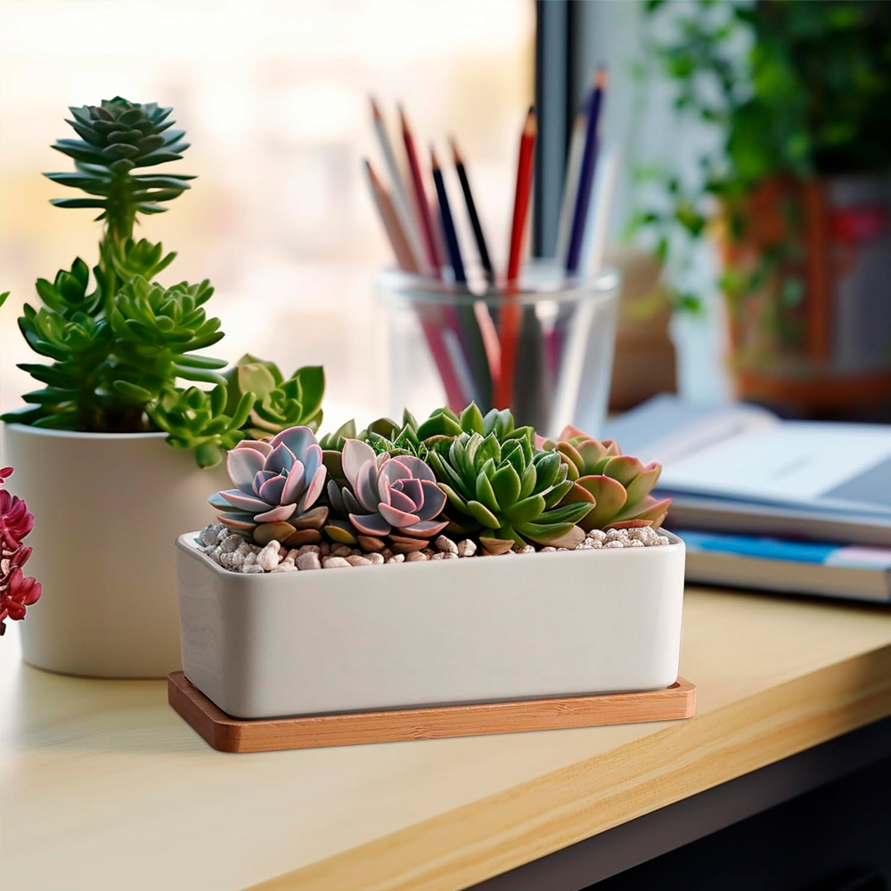 Maceta de Cerámica Ilios Innova Rectangular Blanco