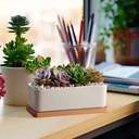 Maceta de Cerámica Ilios Innova Rectangular Blanco