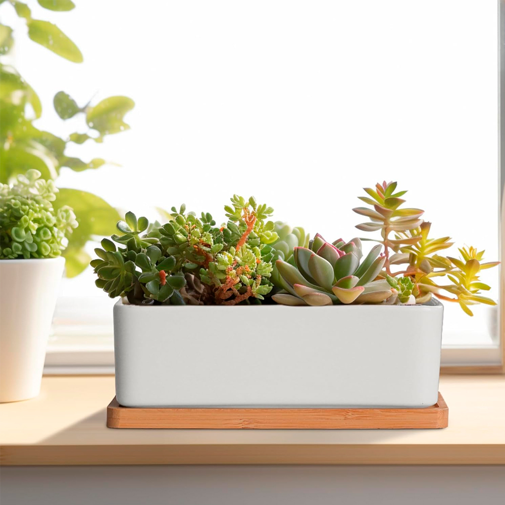Maceta de Cerámica Ilios Innova Rectangular Blanco