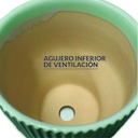 Maceta de Rayas Verde Chico