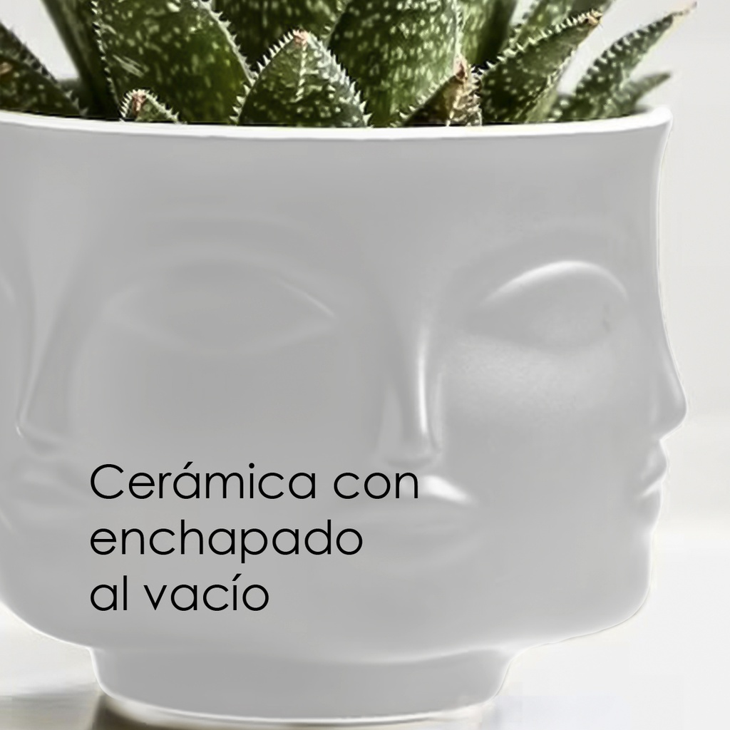 Maceta de rostro DH003  Blanco