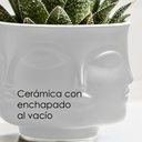 Maceta de rostro DH003  Blanco