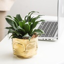 Maceta de rostro DH003  Dorado
