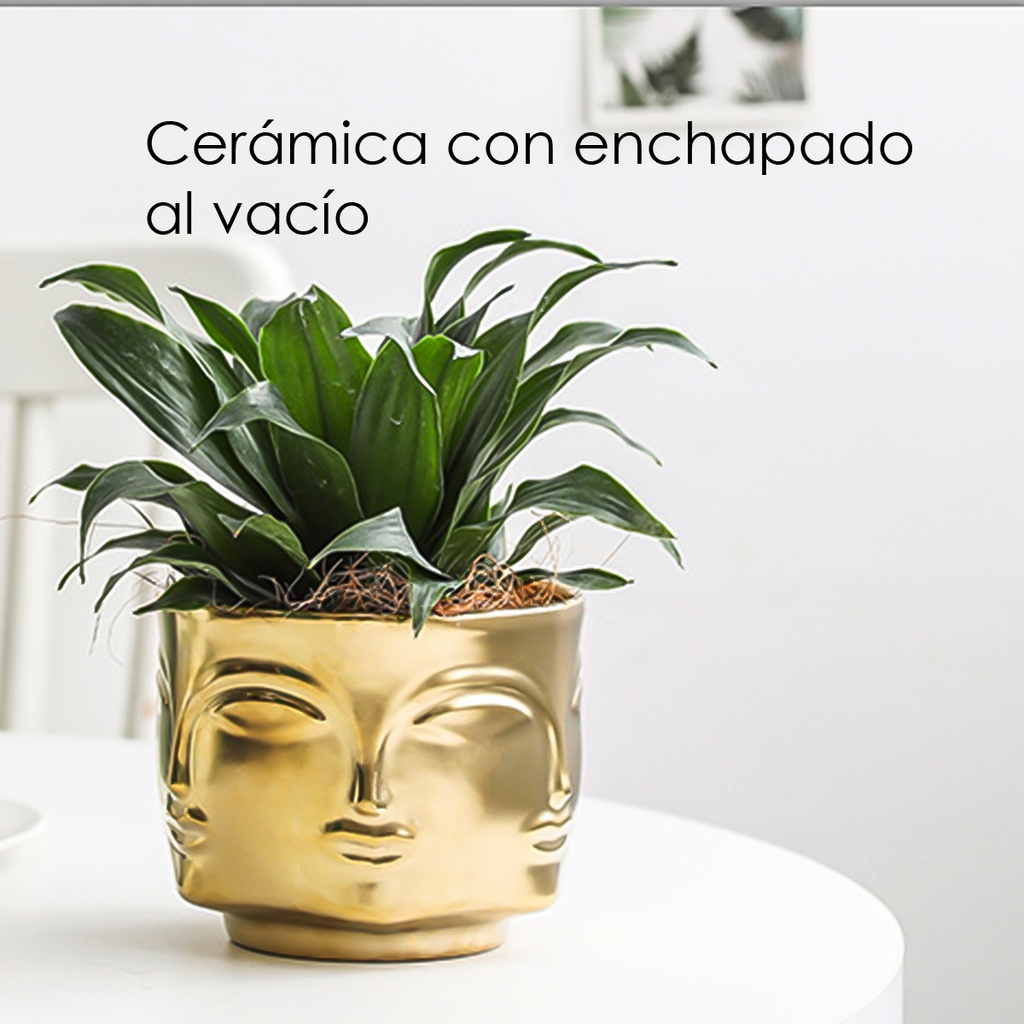 Maceta de rostro DH003  Dorado