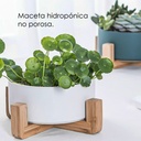 Macetero soporte de madera XM15G mediano  Blanco