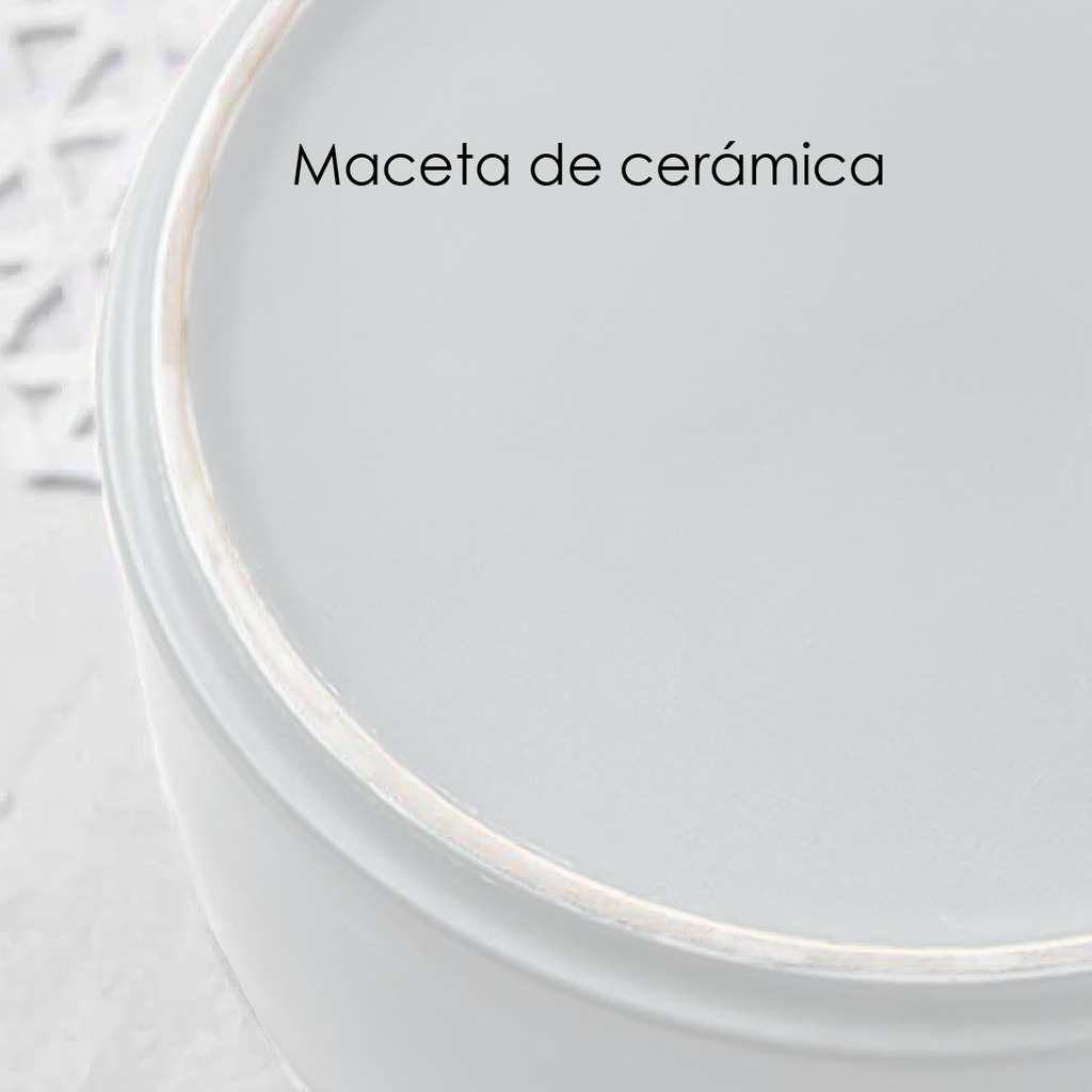 Macetero soporte de madera XM15G mediano  Blanco