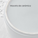 Macetero soporte de madera XM15G mediano  Blanco