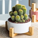 Macetero soporte de madera XM15G mediano  Blanco