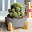Macetero soporte de madera XM15G mediano  Gris