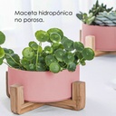 Macetero soporte de madera XM15G mediano  Rosa