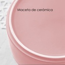Macetero soporte de madera XM15G mediano  Rosa