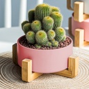 Macetero soporte de madera XM15G mediano  Rosa