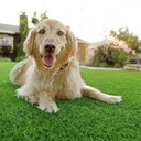 4 Mts Pasto Sintetico 35mm