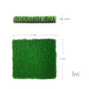 Pasto 50mm