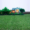 Pasto 50mm