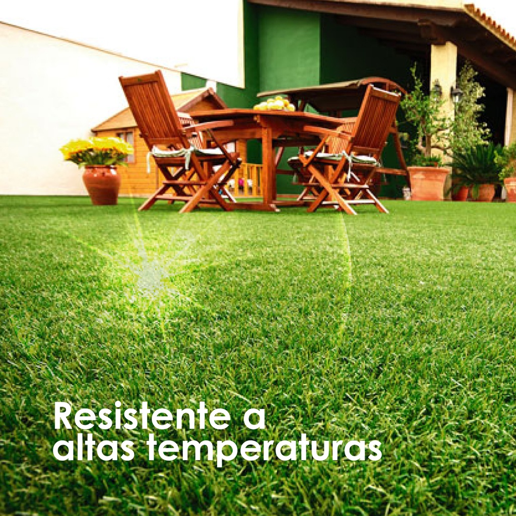 Pasto 50mm