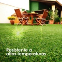 Pasto 50mm