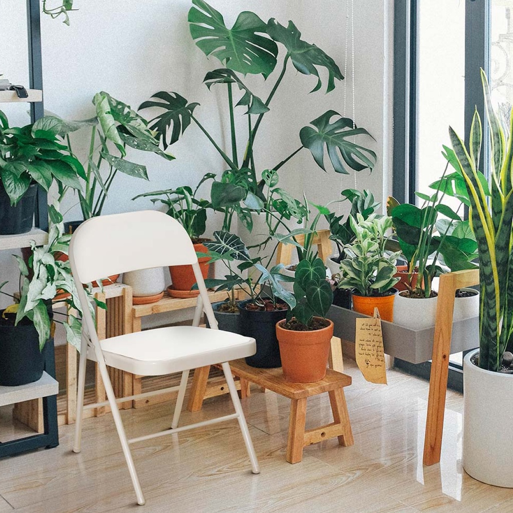 Silla plegable acojinada  Blanca