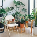 Silla plegable acojinada  Blanca