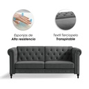 Sofa Cama 2 Plazas con antebrazos Gris velvet