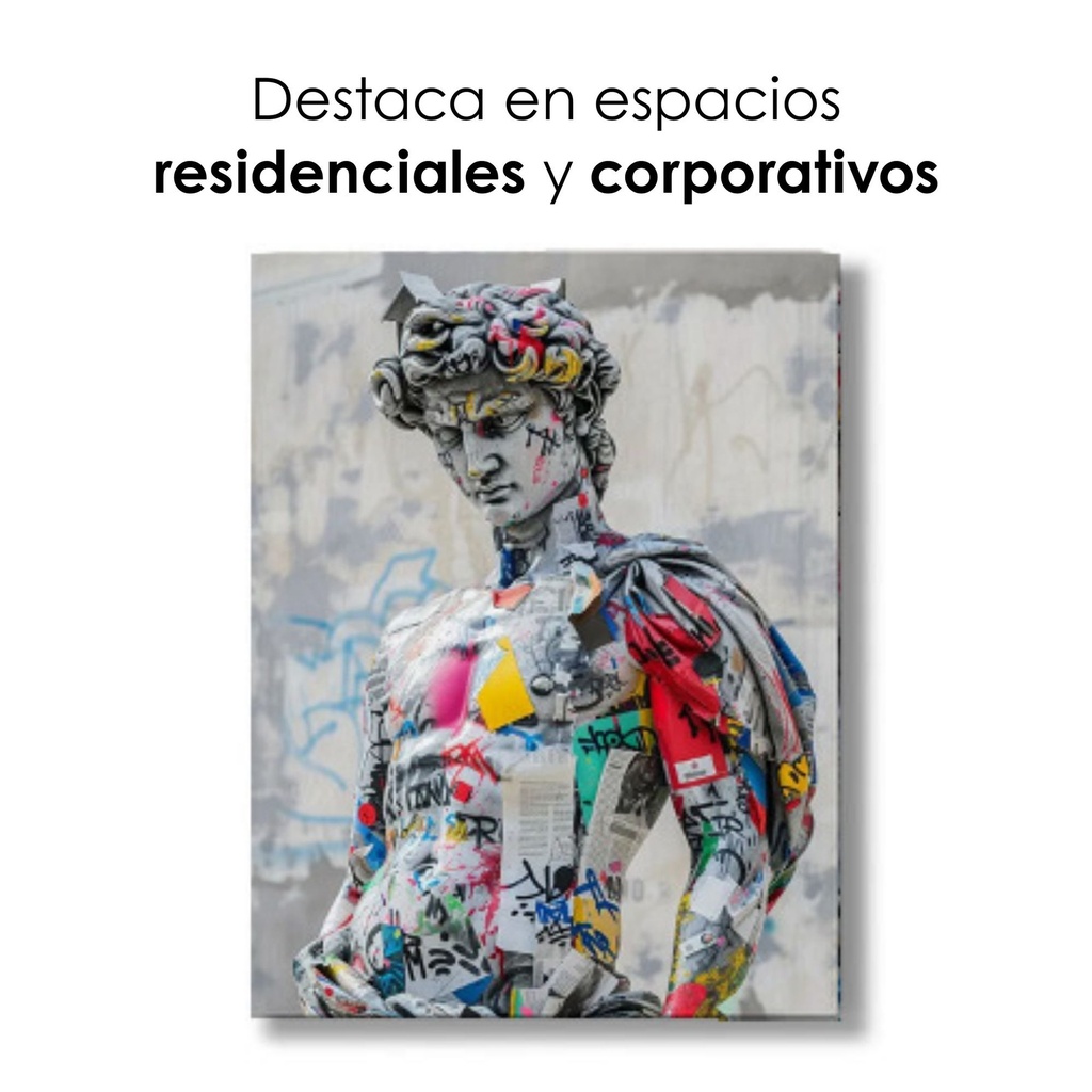Cuadro decorativo 80x120 CDT-David 