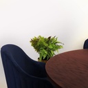 Comedor London