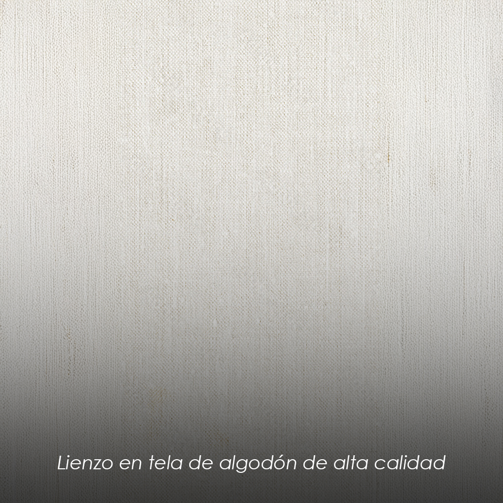 Cuadro decorativo 80x120 CDT-David Dorado