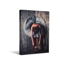 Cuadro decorativo 80x120 CDT-ballet