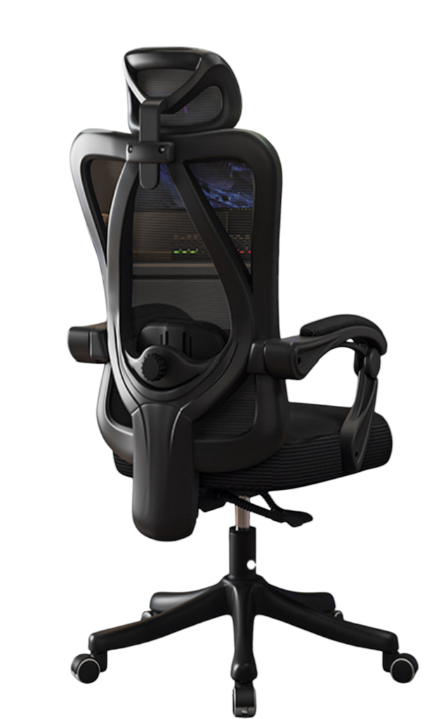 Silla Ergonómica con Soporte Lumbar Negro