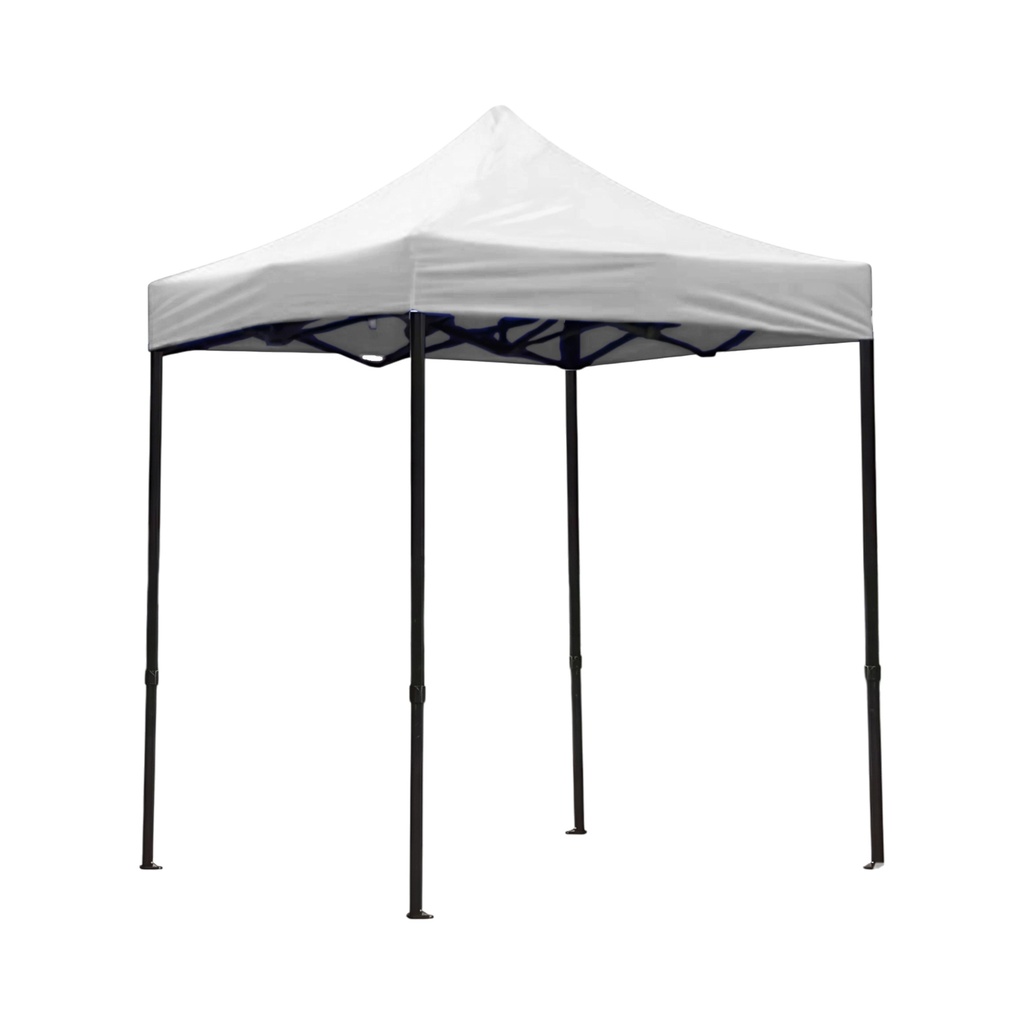 Carpa 2x2 Blanca